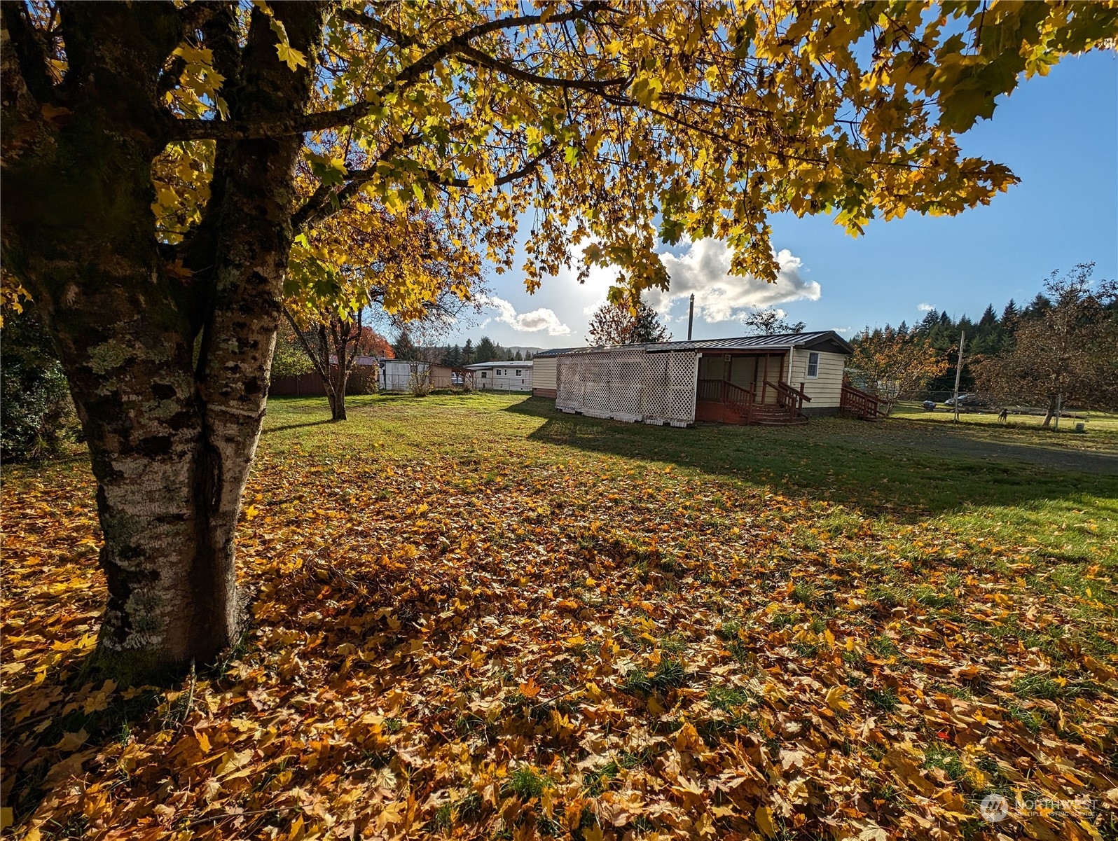 1170 Perry Street Forks, WA 98331 - Photo 24 of 25 Gallery Image 24