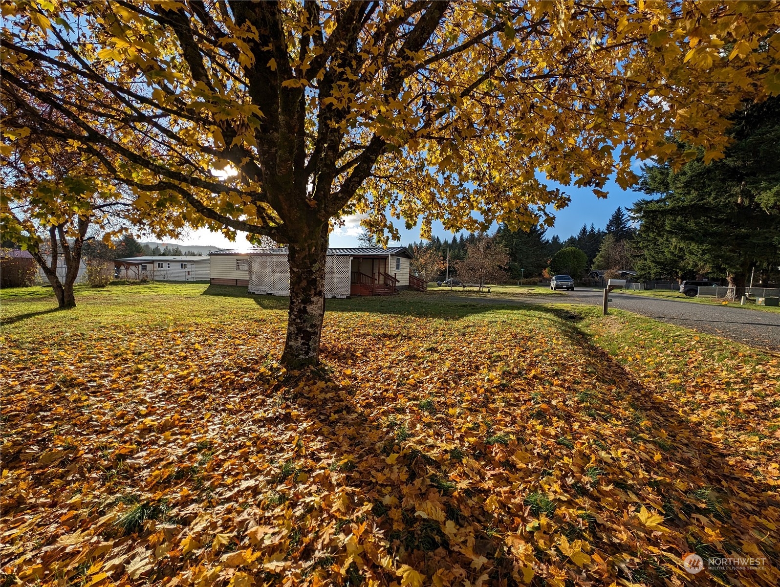 1170 Perry Street Forks, WA 98331 - Photo 3 of 25 Gallery Image 3