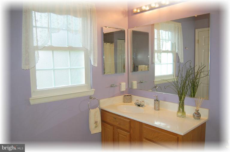 829 Sunny Chapel Road Odenton, MD 21113 - Photo 29 of 30 Bath (Master)