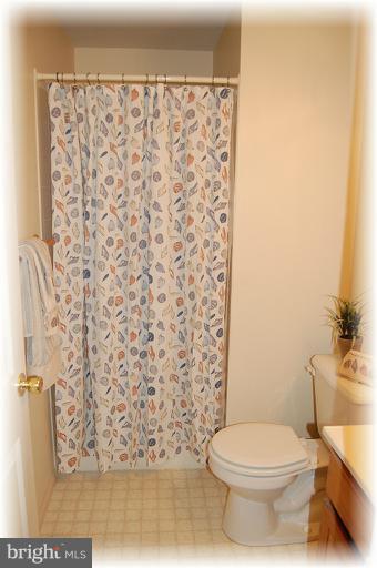 829 Sunny Chapel Road Odenton, MD 21113 - Photo 4 of 30 Basement 3rd full bath