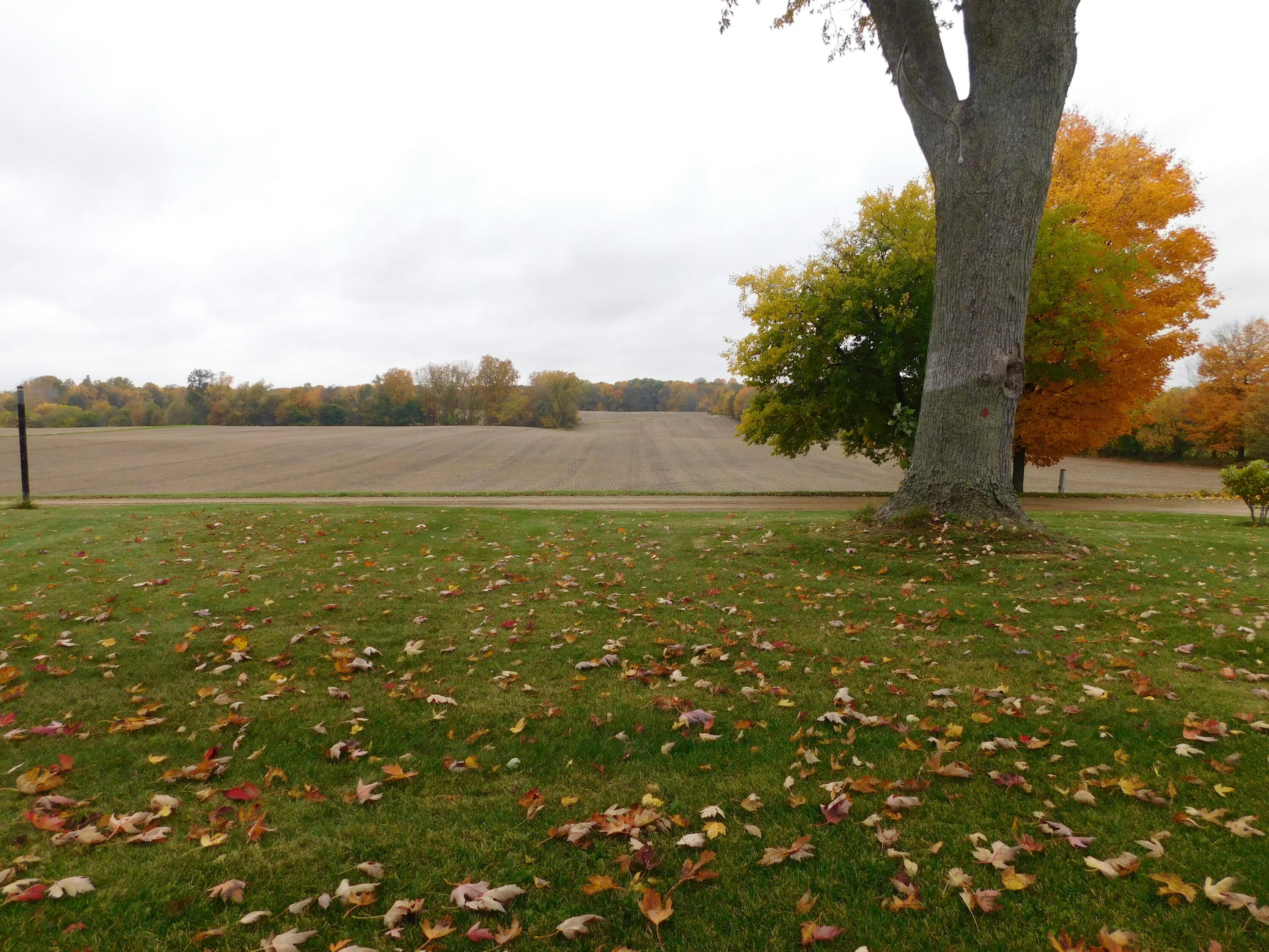 1515 Boyle Lake Road Buchanan, MI 49107 - Photo 38 of 38 DSCN4734