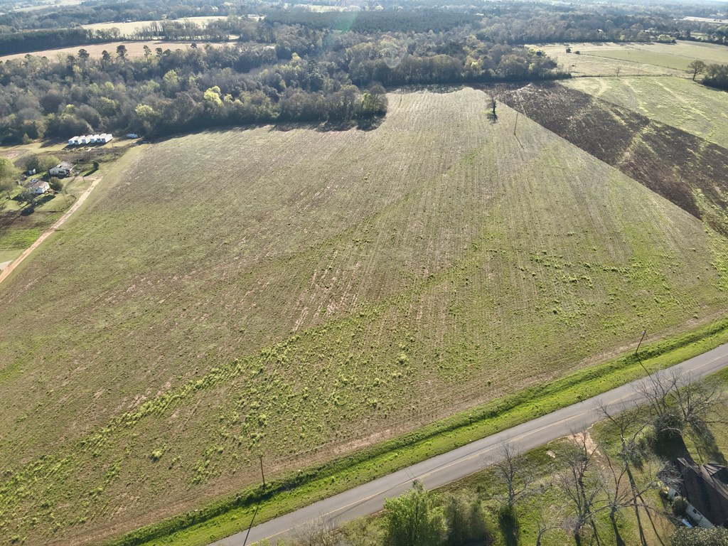 3.42-acres Omussee Road Cowarts, AL 36321 - Photo 2 of 13