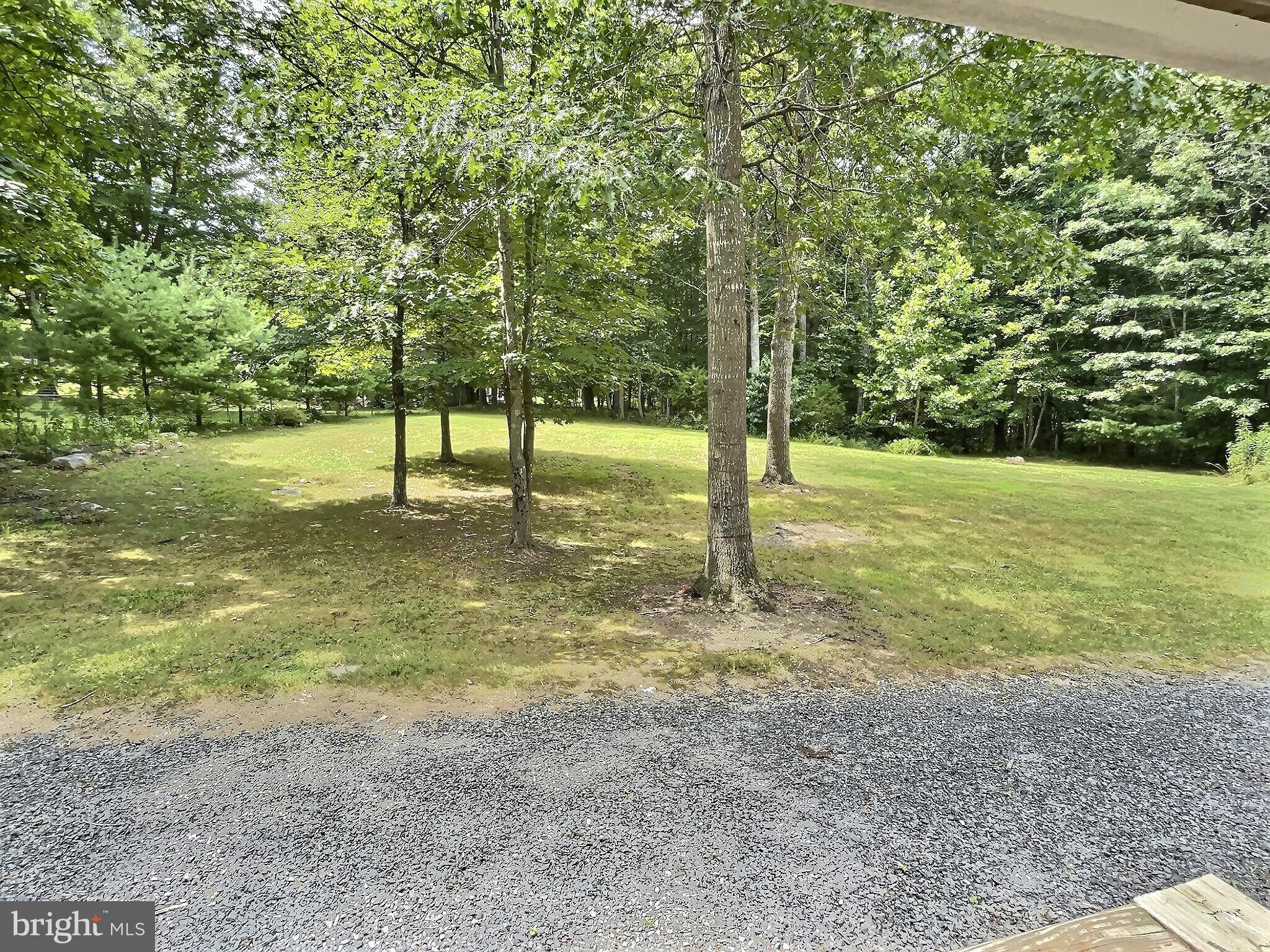 3933 Zepp Road Maurertown, VA 22644 - Photo 17 of 51