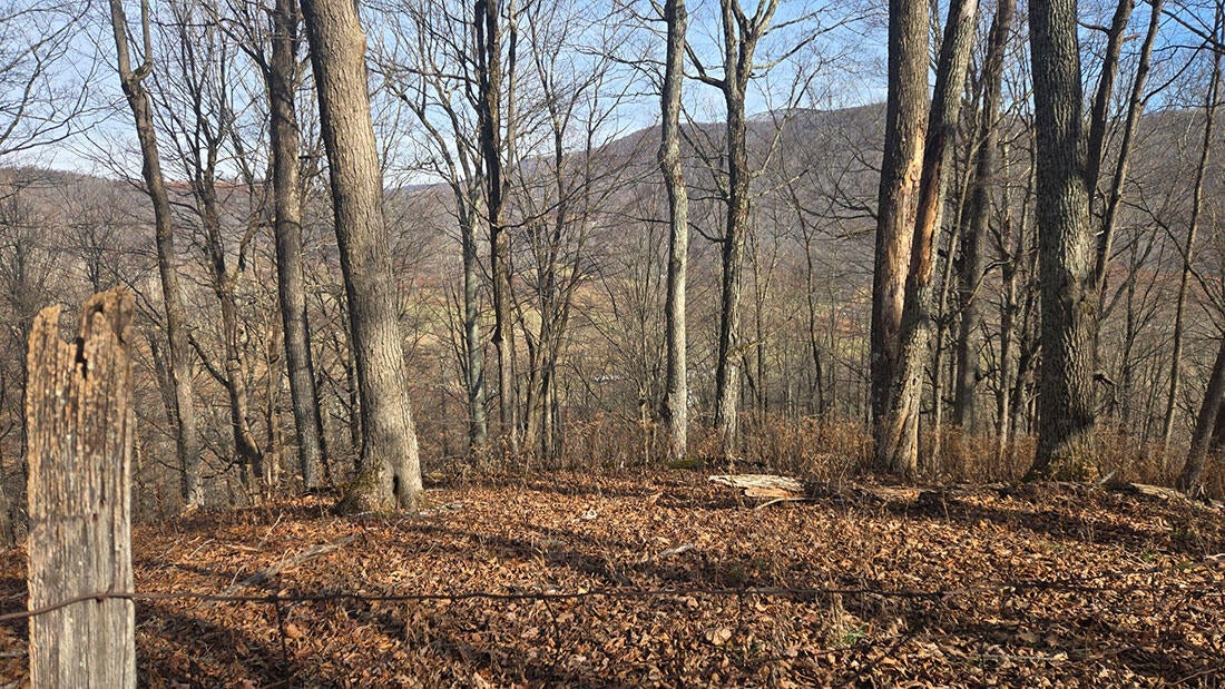 27 Acres Big Spring Slatyfork, WV 26291 - Photo 18 of 22 View from the high knob