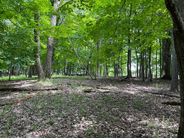 $7,700 | 148 Pine Cone La, La Valle, WI 53941