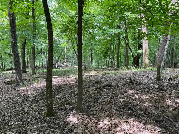 $7,700 | 148 Pine Cone La, La Valle, WI 53941