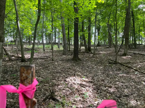 $7,700 | 148 Pine Cone La, La Valle, WI 53941