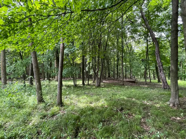 $7,700 | 148 Pine Cone La, La Valle, WI 53941