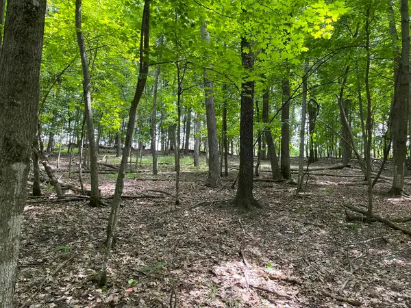 $7,700 | 148 Pine Cone La, La Valle, WI 53941