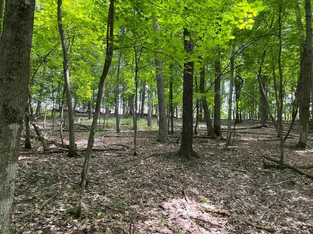 $7,700 | 148 Pine Cone La, La Valle, WI 53941