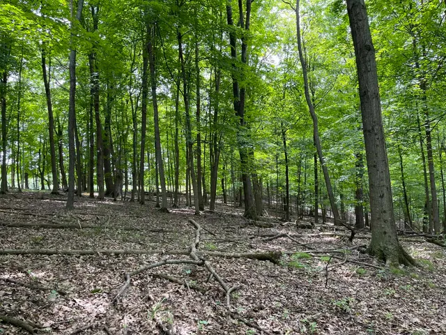 $7,700 | 148 Pine Cone La, La Valle, WI 53941