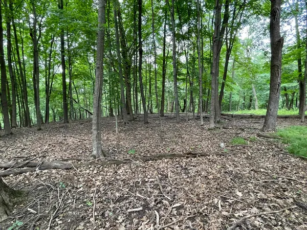 $7,700 | 148 Pine Cone La, La Valle, WI 53941