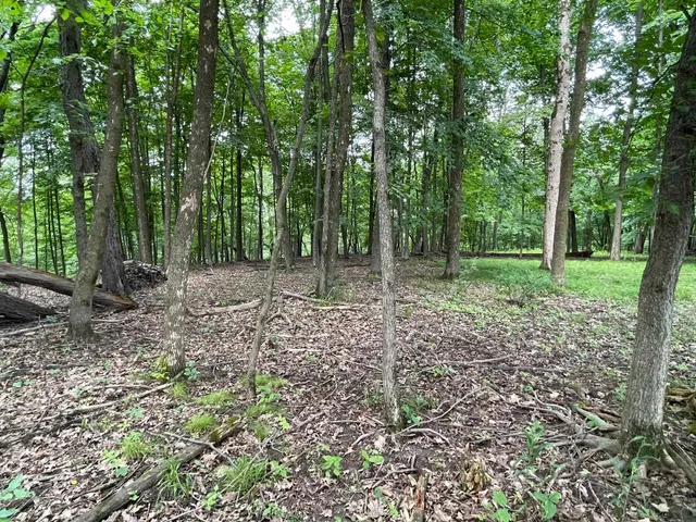 $7,700 | 148 Pine Cone La, La Valle, WI 53941