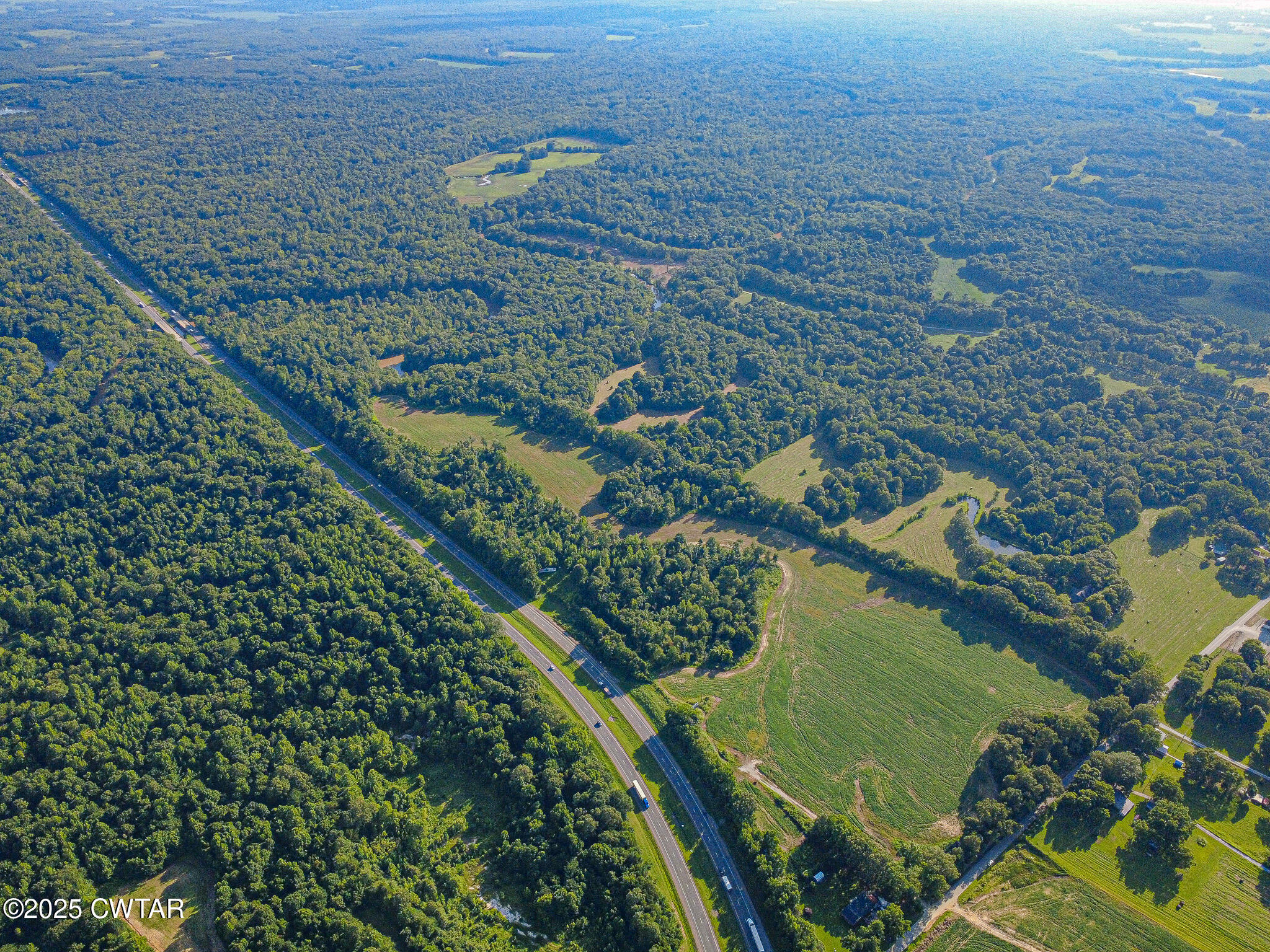 3809 Windrow Road Brownsville, TN 38012 - Photo 5 of 8 a view of a yard