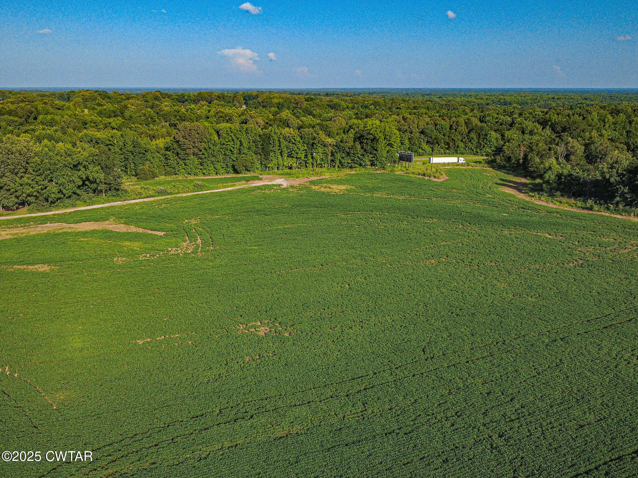 3809 Windrow Road Brownsville, TN 38012 - Photo 8 of 8 a view of a field with an ocean