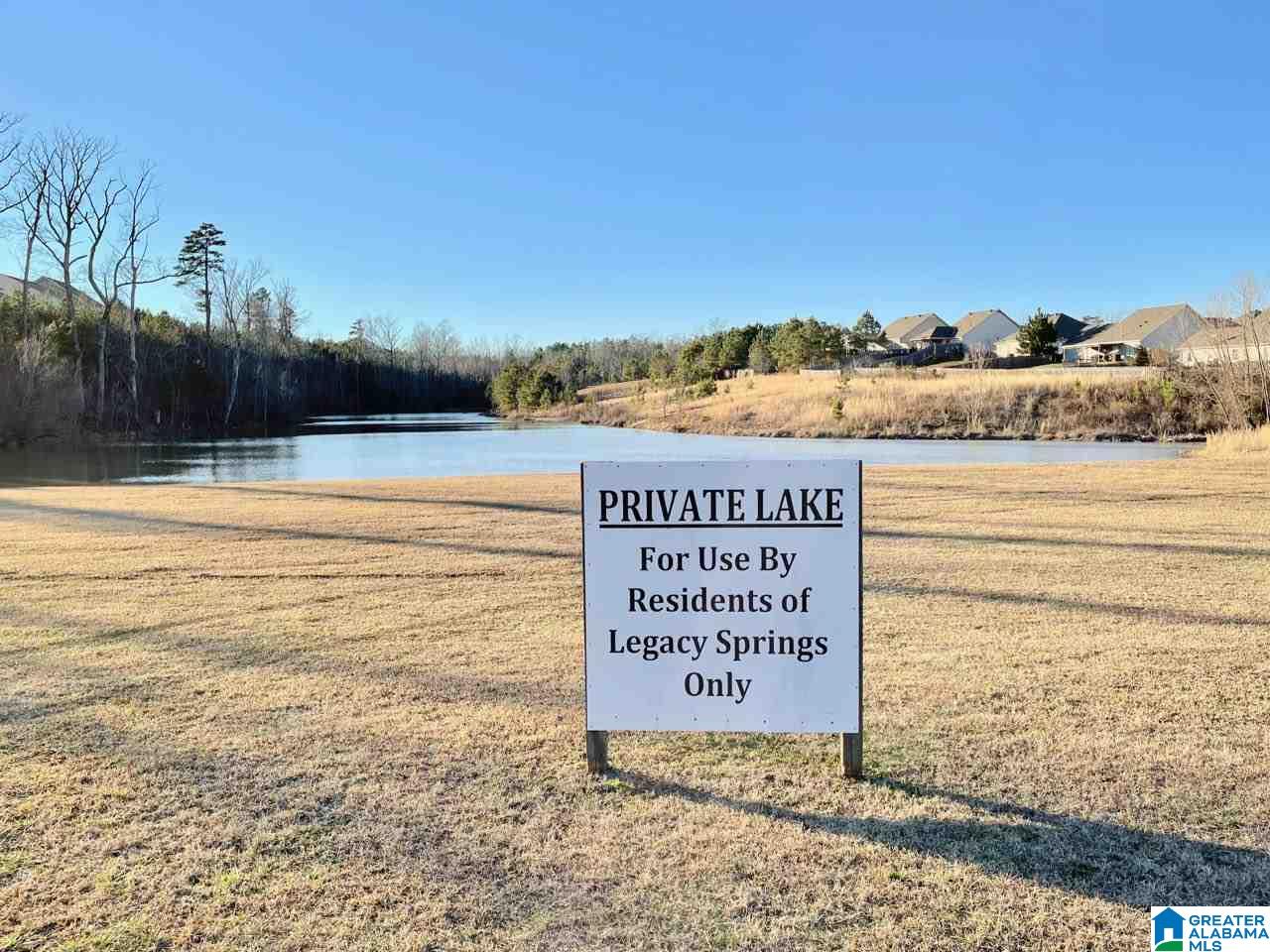 30 Village Springs Cove Springville, AL 35146 - Photo 2 of 25