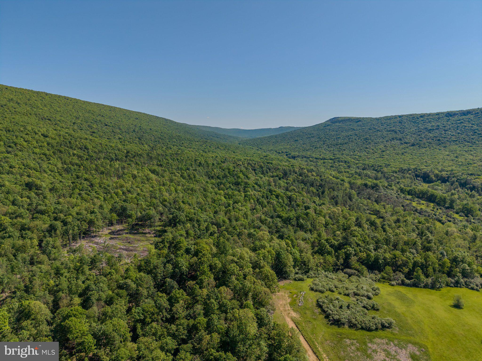 4503 Scotch Valley Road Hollidaysburg, PA 16648 - Photo 13 of 85