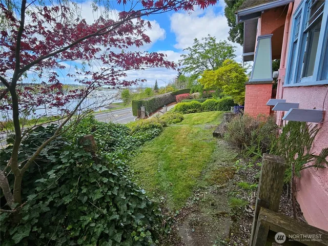 a view of a flower in a garden