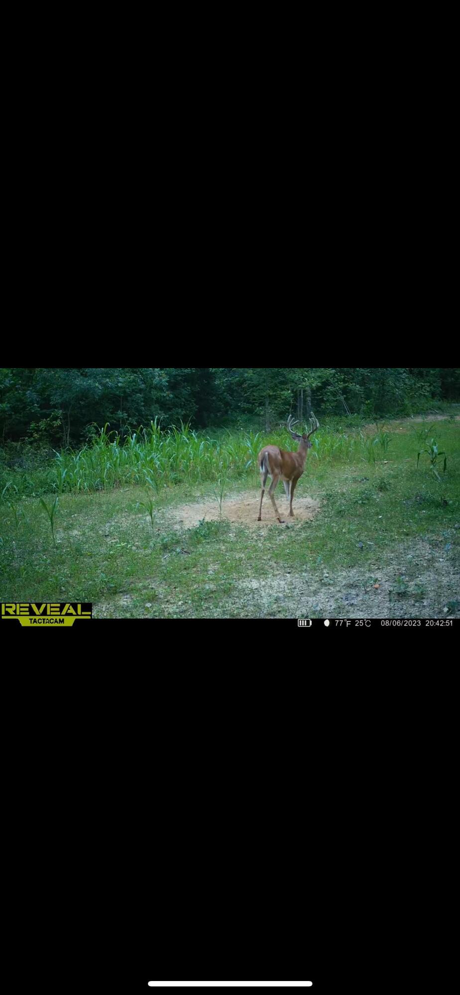 336 Big Branch Road Beattyville, KY 41311 - Photo 64 of 66 image_123650291 (2)