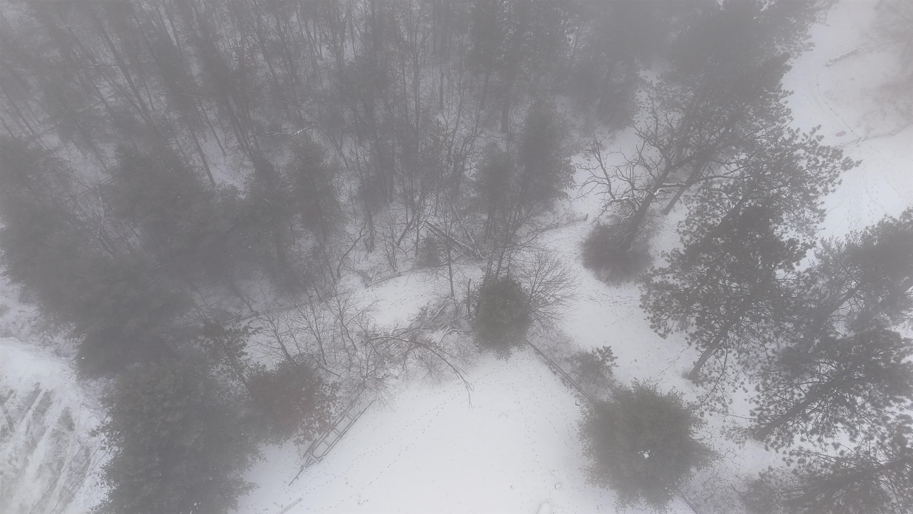 N1240 Otter Ponds Lane Keshena, WI 54135 - Photo 36 of 39