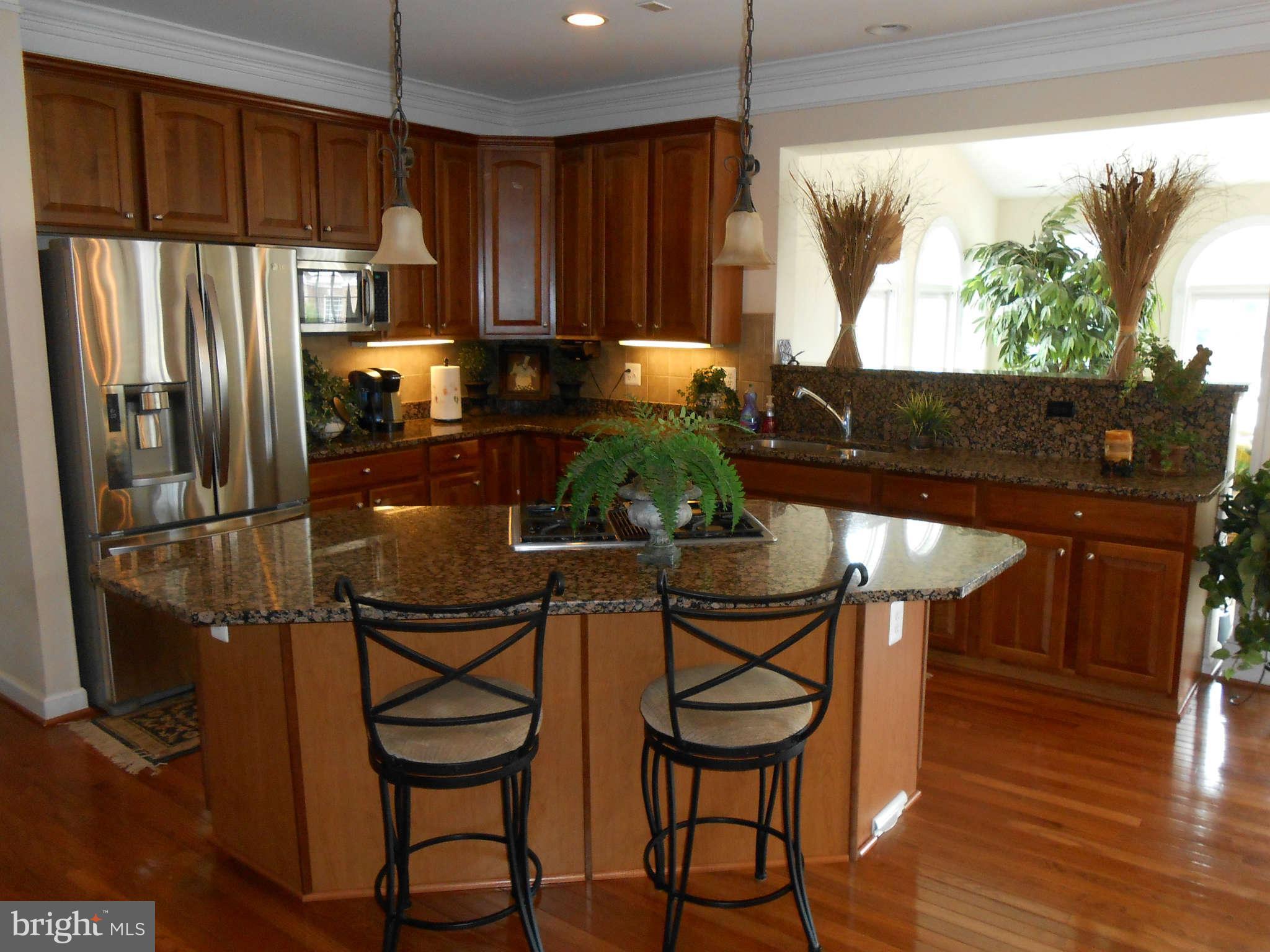 20536 Wilderness Run Road Boonsboro, MD 21713 - Photo 11 of 30 Kitchen