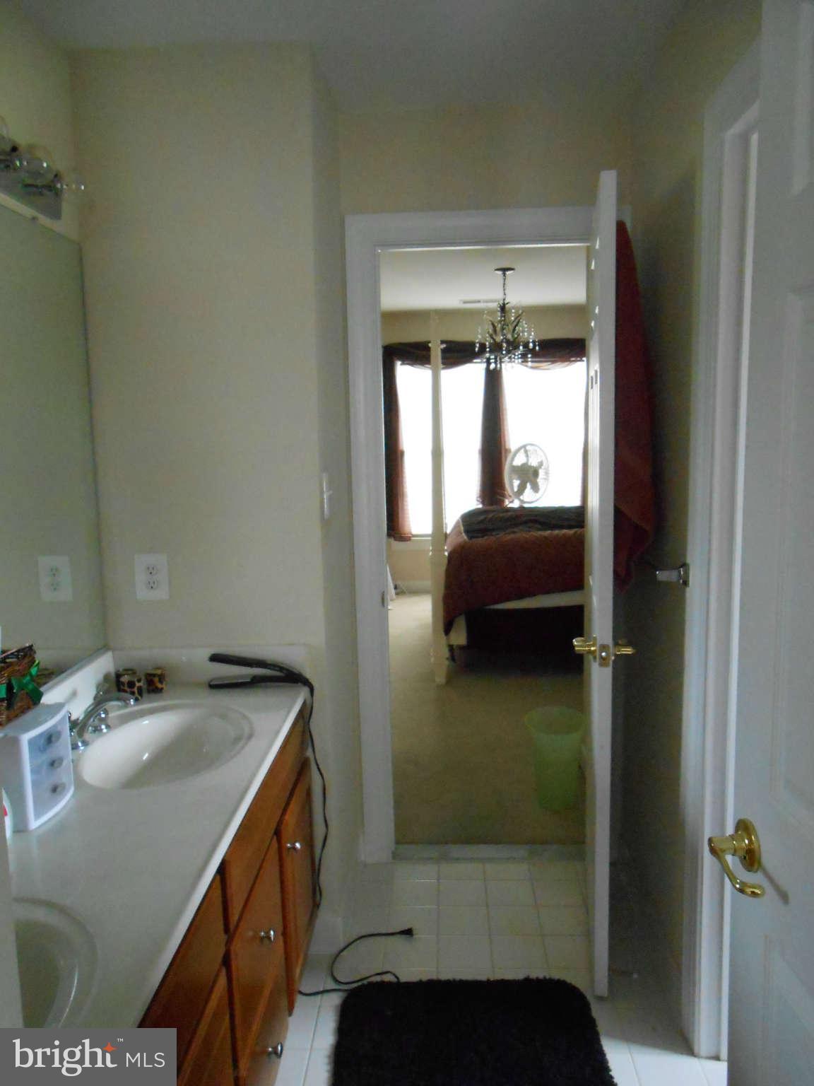 20536 Wilderness Run Road Boonsboro, MD 21713 - Photo 15 of 30 Full Bath