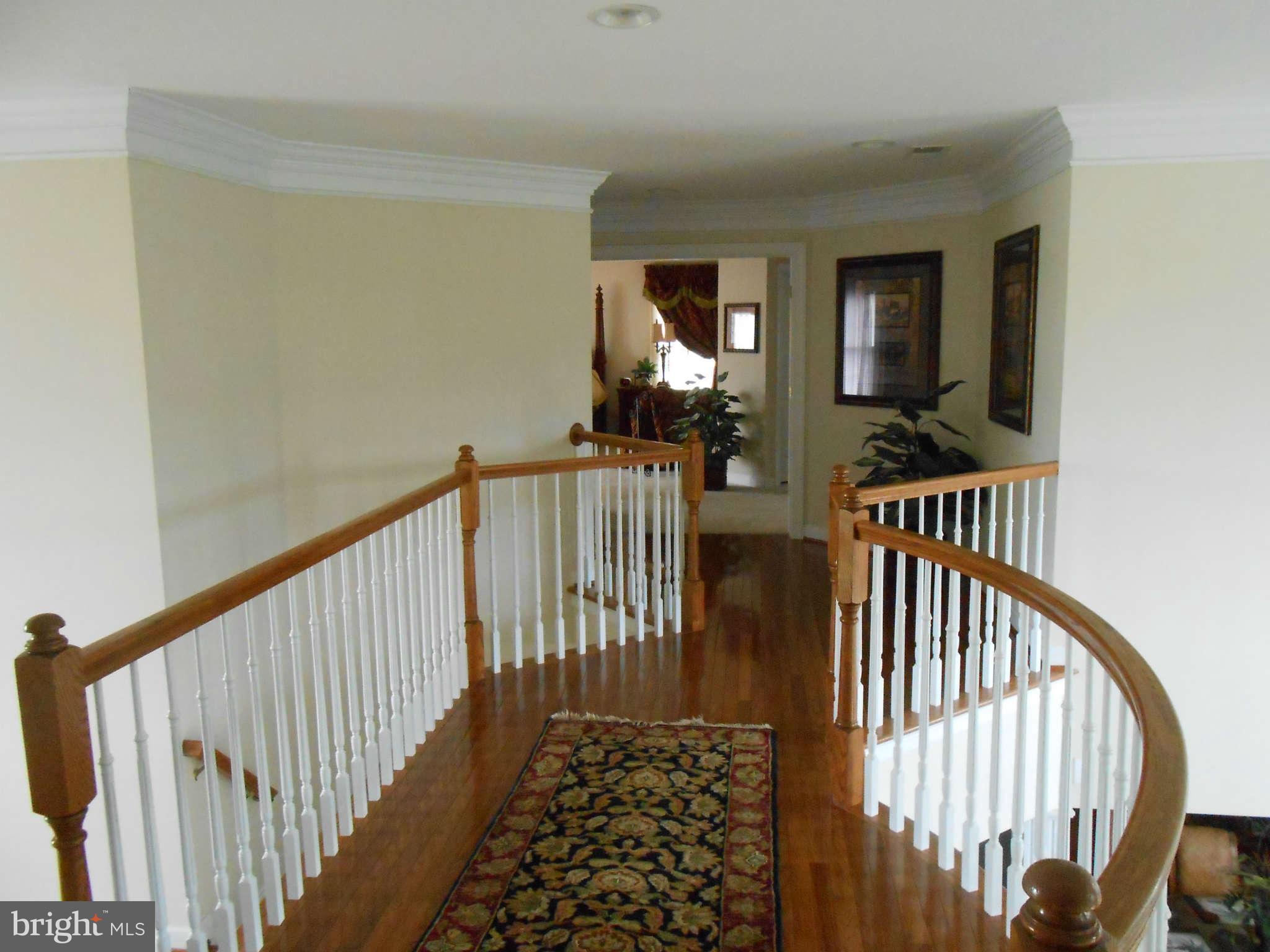 20536 Wilderness Run Road Boonsboro, MD 21713 - Photo 17 of 30 Catwalk