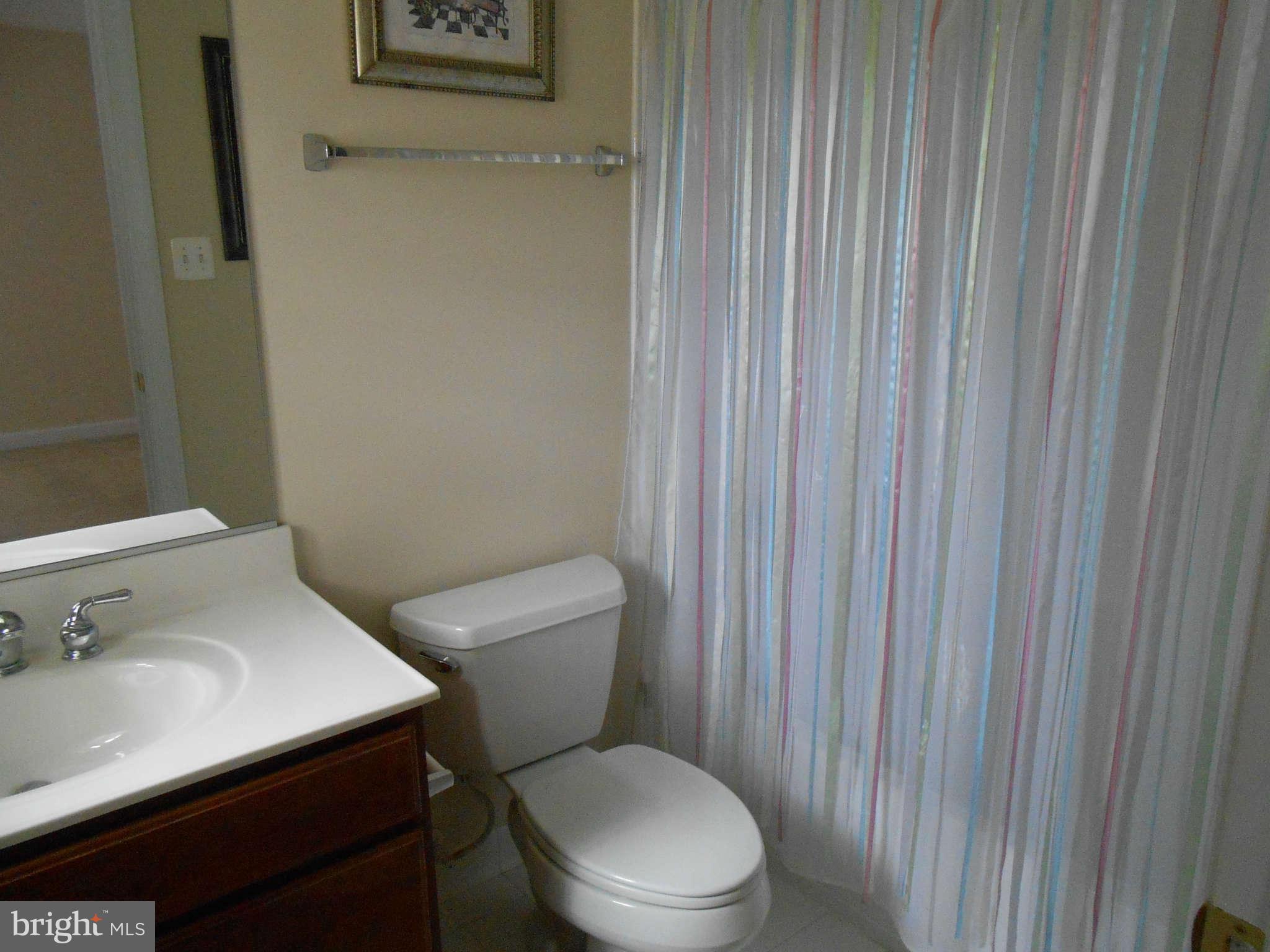 20536 Wilderness Run Road Boonsboro, MD 21713 - Photo 19 of 30 Full Bath