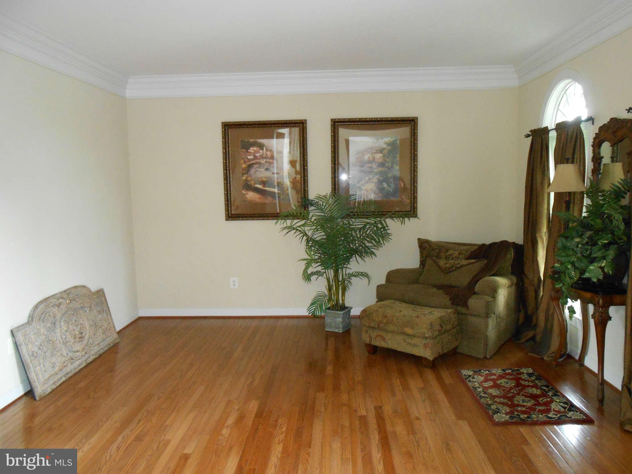 20536 Wilderness Run Road Boonsboro, MD 21713 - Photo 3 of 30 Living Room