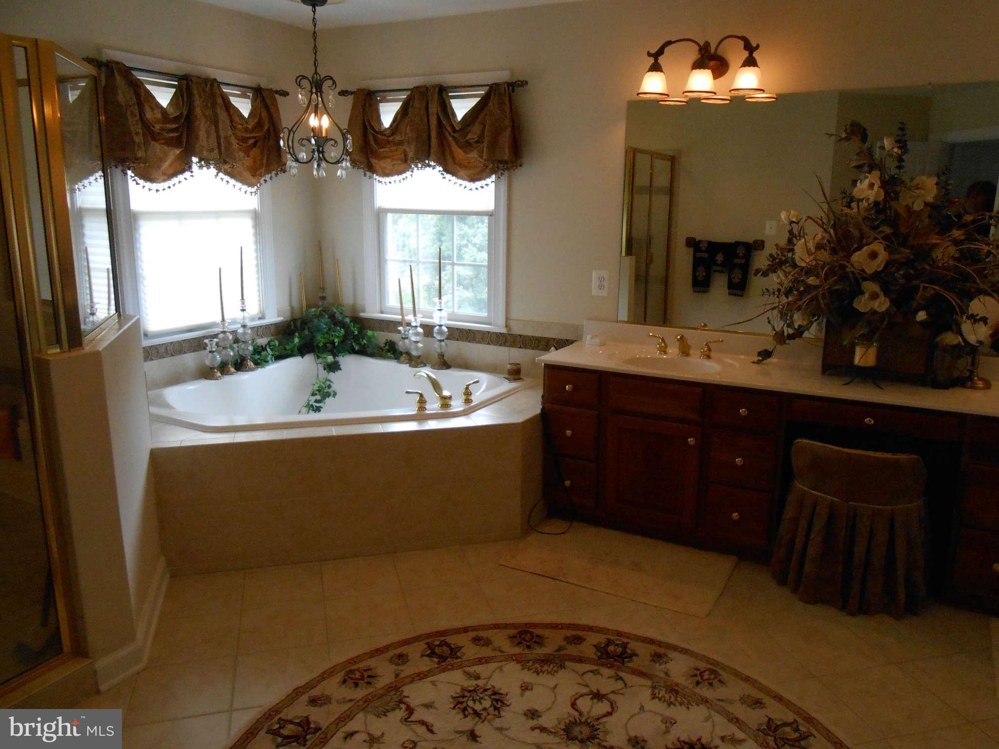 20536 Wilderness Run Road Boonsboro, MD 21713 - Photo 23 of 30 Bath Master