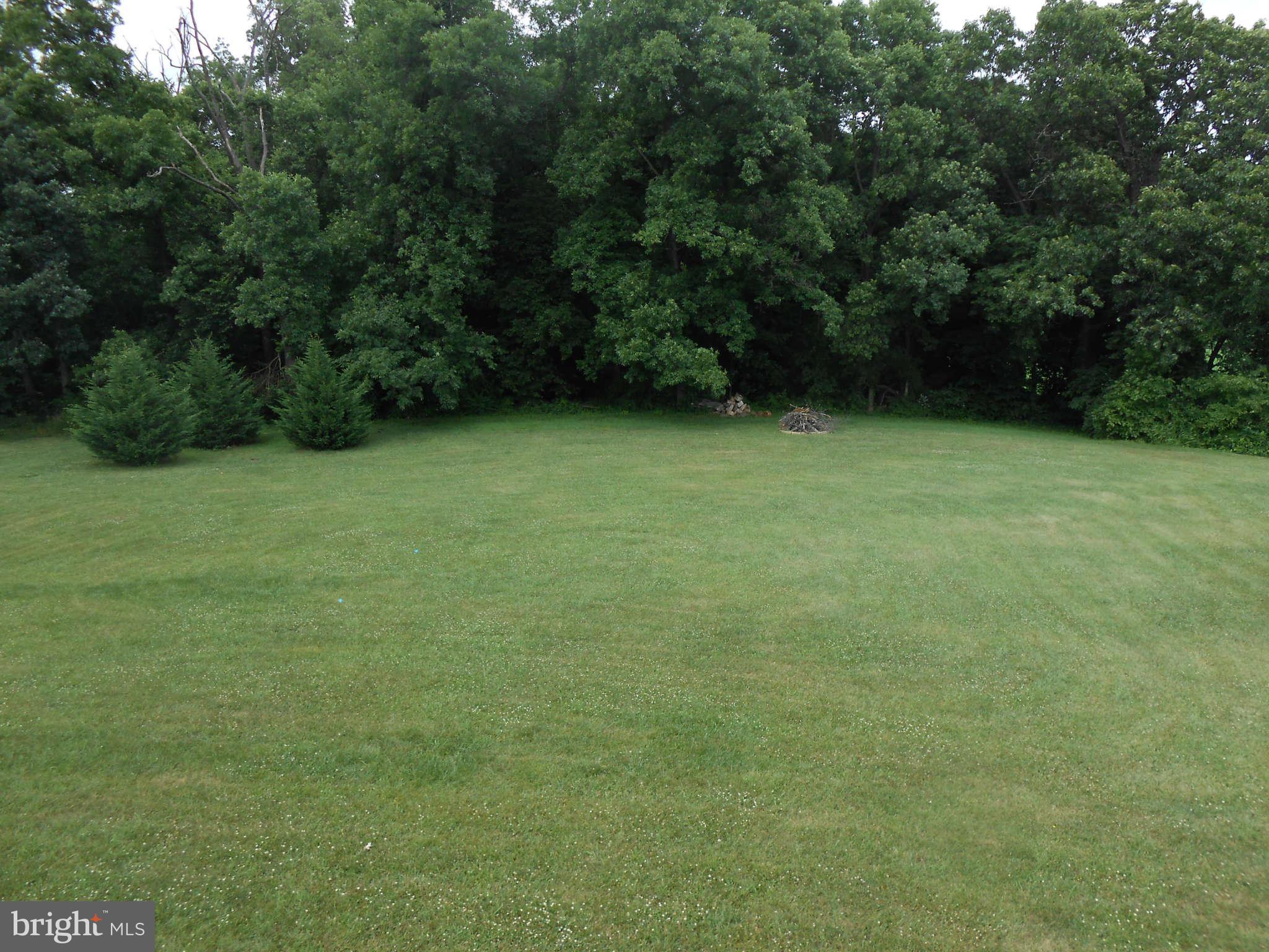 20536 Wilderness Run Road Boonsboro, MD 21713 - Photo 29 of 30 Spacious Backyard