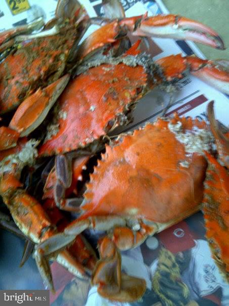 1132 Bay Ridge Road Annapolis, MD 21403 - Photo 47 of 49 Enjoy Famous Maryland Crab Feasts