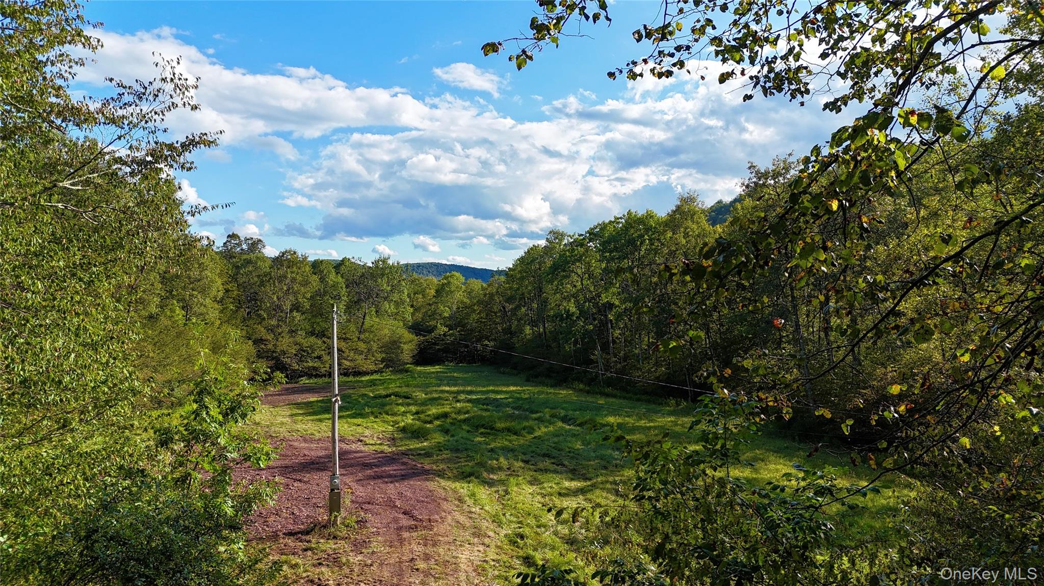 216 Neer Road Long Eddy, NY 12760 - Photo 40 of 48