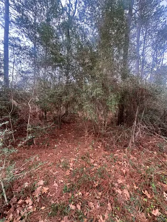 $1,500 | 54 Erin Drive, Huntsville, TX 77320