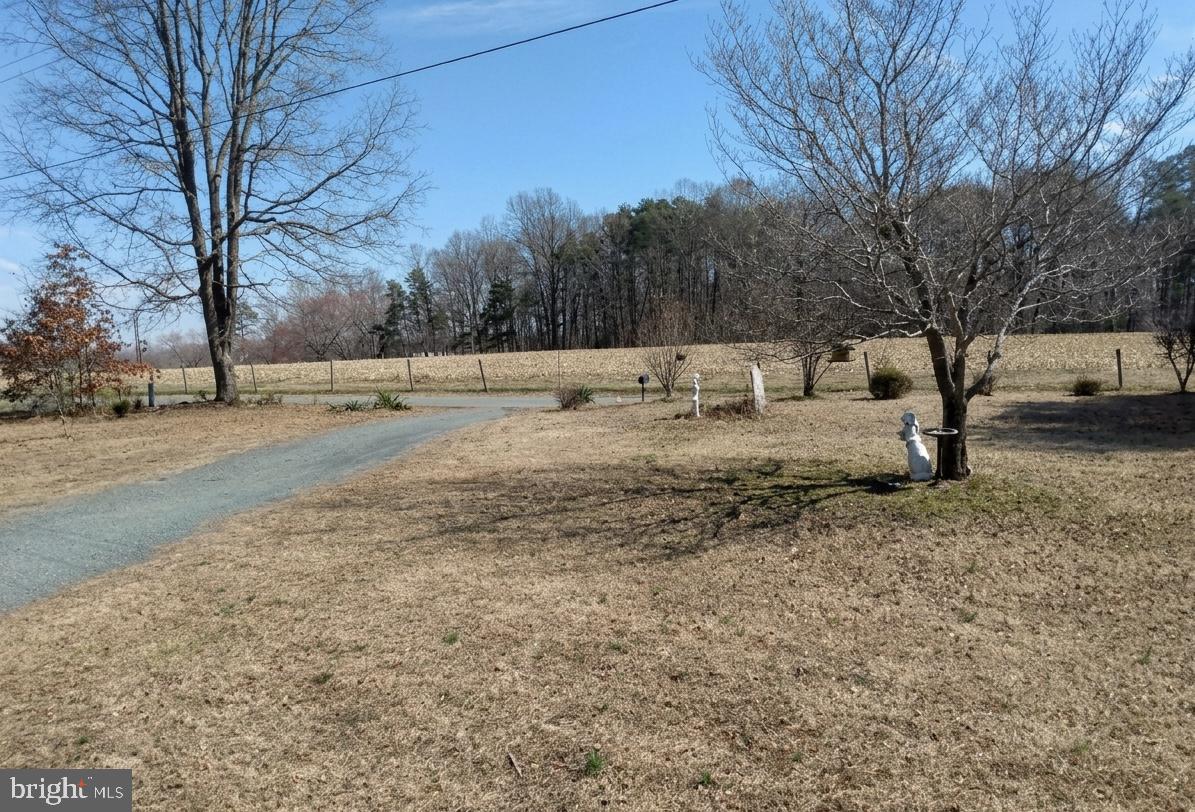 1248 Shores Road Palmyra, VA 22963 - Photo 12 of 13