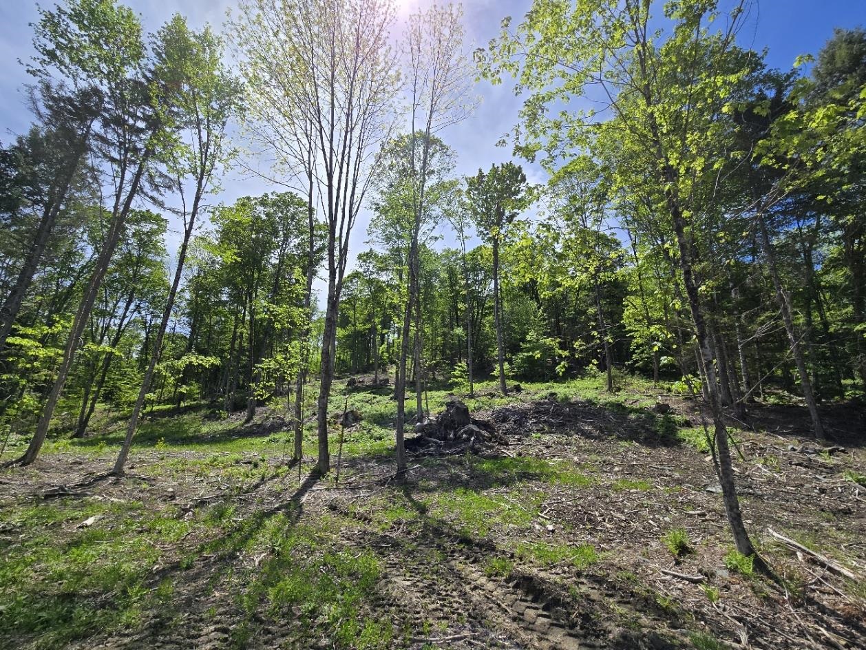 0 Vt Route, Unit LOT 1 Bethel, VT 05032 - Photo 9 of 10