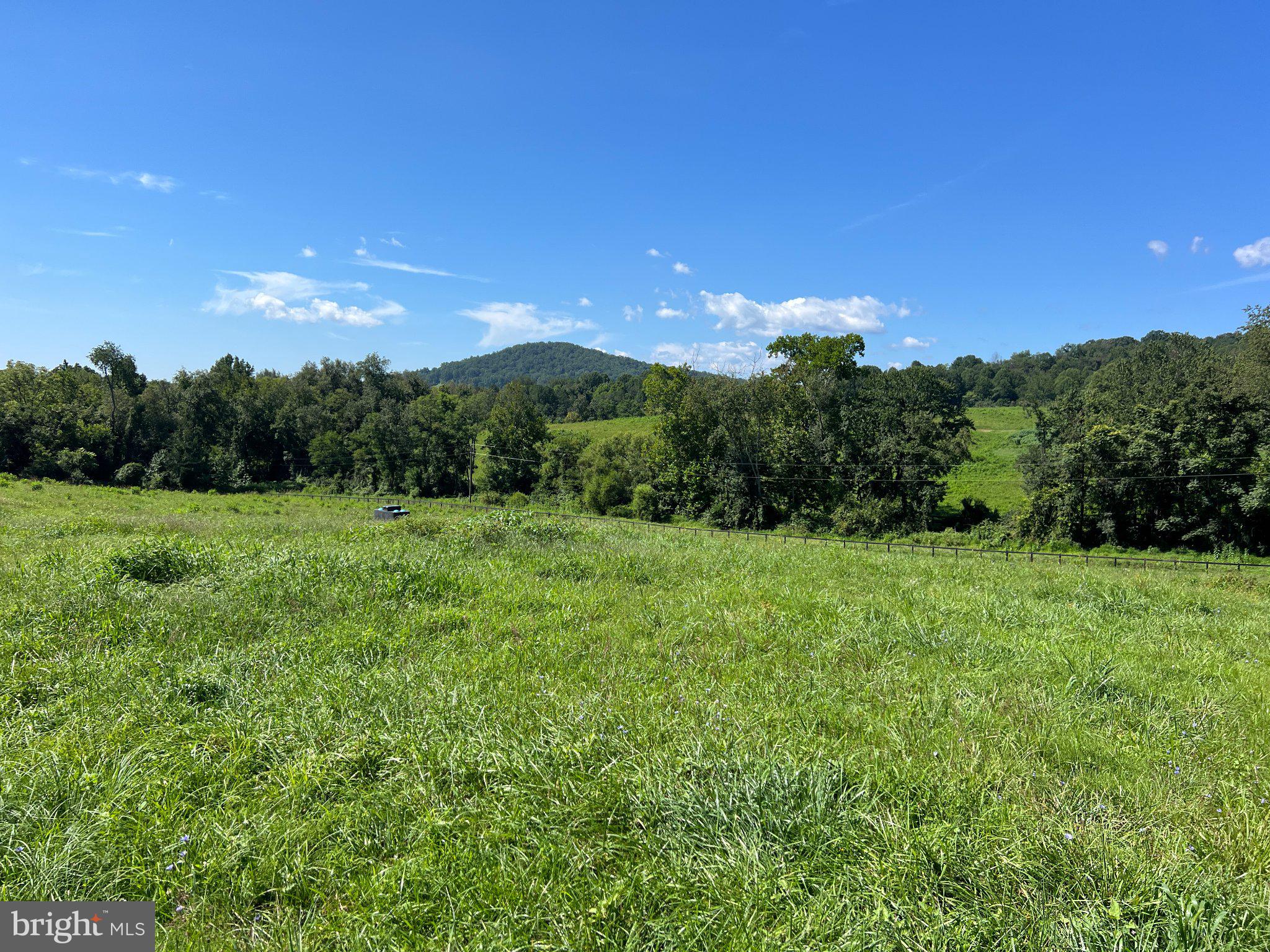439 Rudasill Road Woodville, VA 22749 - Photo 53 of 55 View of Little Mason Mountain.