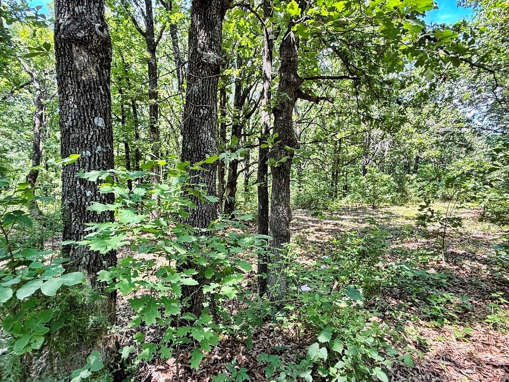 Tbd3 East 1550 Road Jerico Springs, MO 64756 - Photo 26 of 42