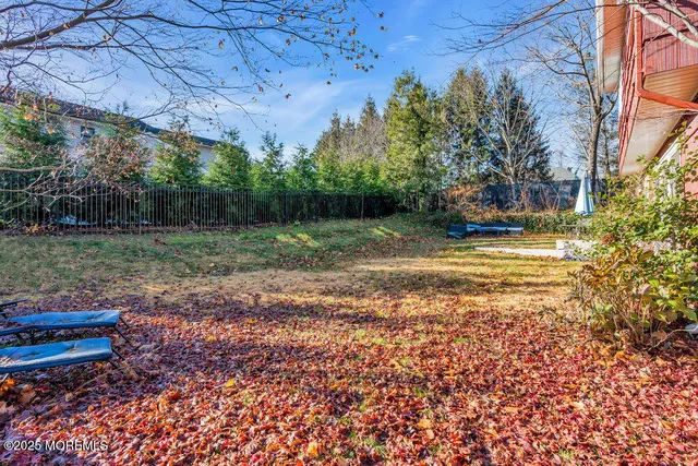 a view of a yard with plants and trees