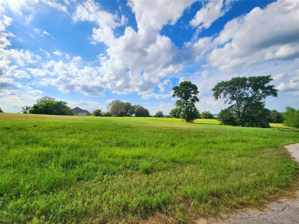 Lot 272 High Point Court Athens, TX 75752 - Photo 2 of 5
