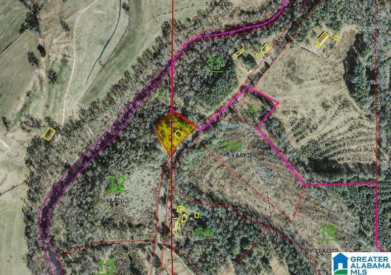 441 Pine Grove Road Oneonta, AL 35121 - Photo 5 of 44 Gallery Image 5