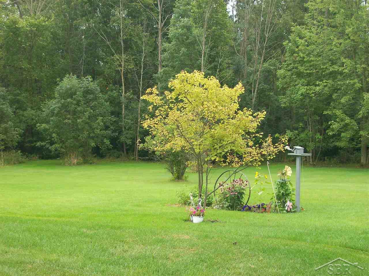 5840 Townline Road Birch Run, MI 48415 - Photo 4 of 10 31393136-3.JPG