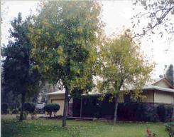 a view of a house with backyard garden and trees