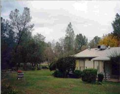 5058 Smokey Road Markleeville, CA 96120 - Photo 2 of 2 a backyard of a house with plants and large trees