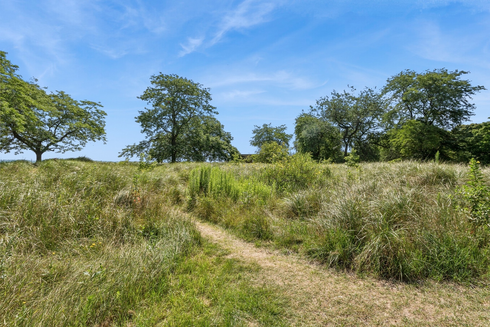 7025 North Sheridan Road, Unit 3N Chicago, IL 60626 - Photo 13 of 14 a view of a field with a tree