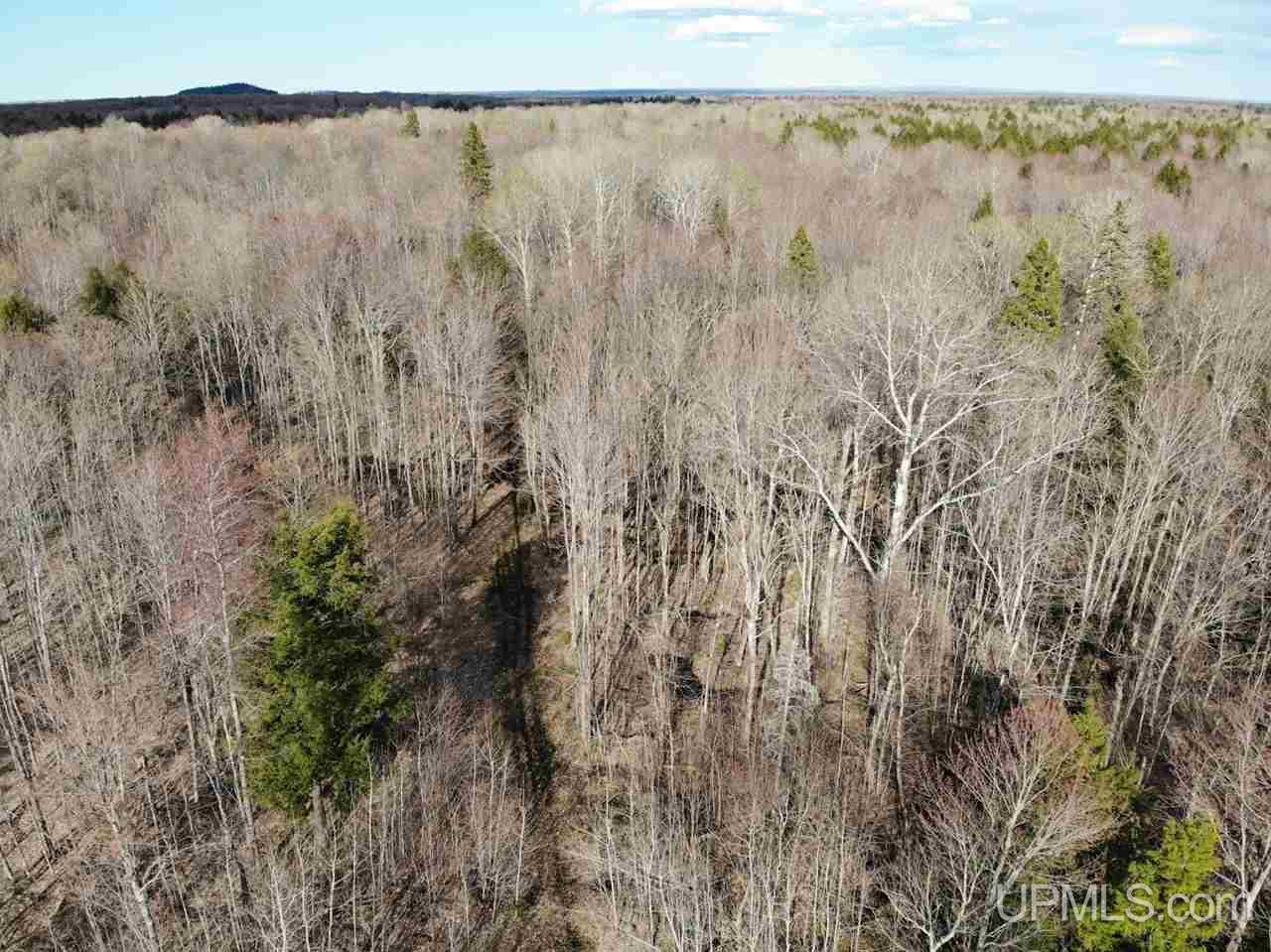 109 Orange Road, Unit 109 Michigamme, MI 49861 - Photo 7 of 13