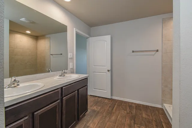 a bathroom with a sink a mirror and a shower