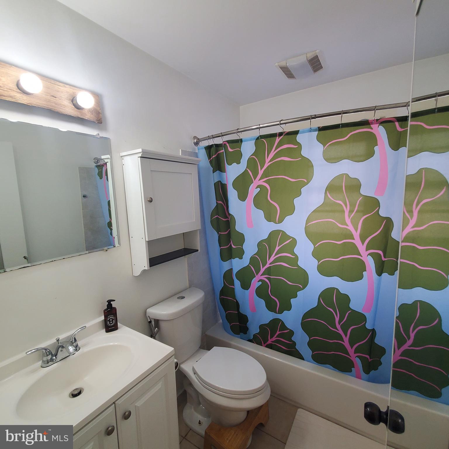 10106 Towhee Avenue Adelphi, MD 20783 - Photo 16 of 21 Hall Bath