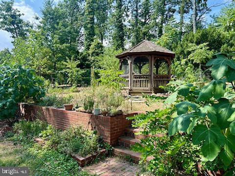 10106 Towhee Avenue Adelphi, MD 20783 - Photo 21 of 21 Backyard - Gazebo