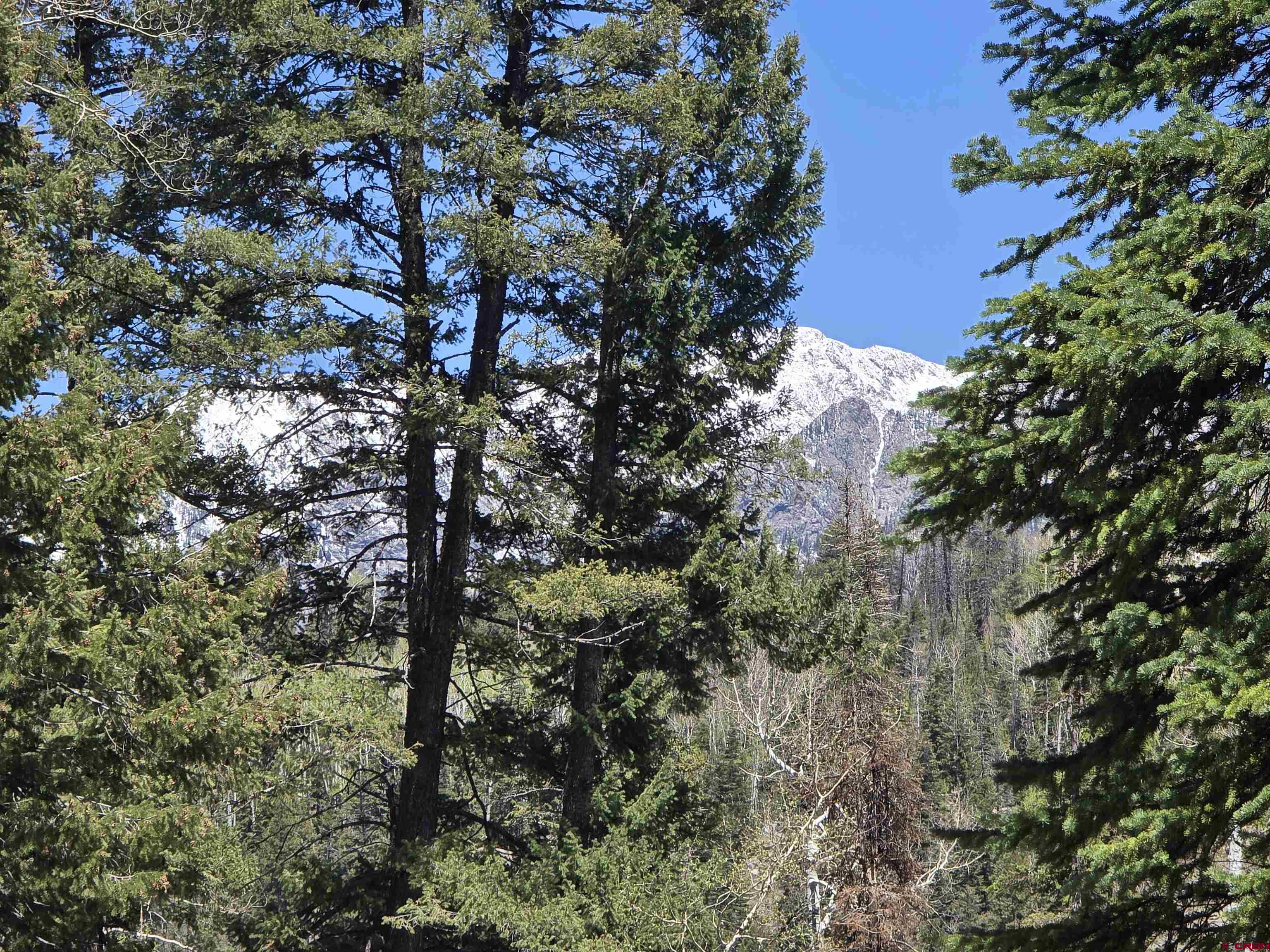 331 Beaver Circle Durango, CO 81301 - Photo 1 of 25